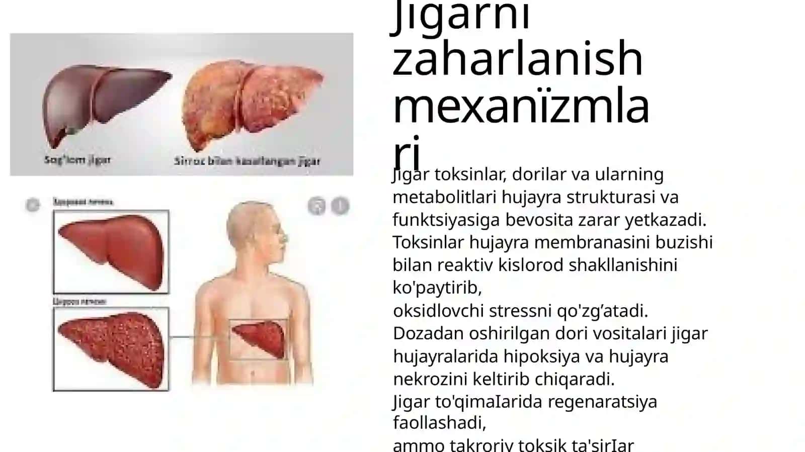 Jigarnitoksikvavositalaritasirida.zårarlanishi 4