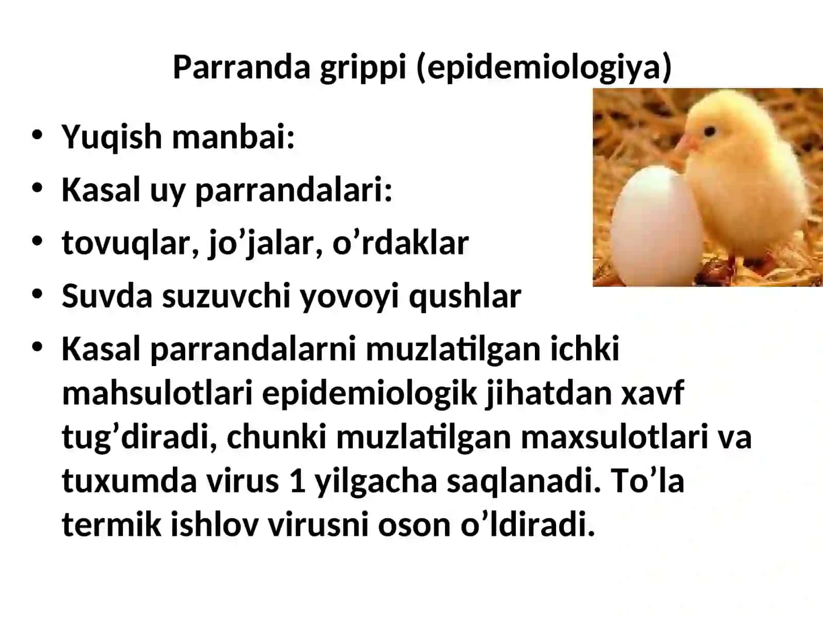PARRANDA GRIPPI 4