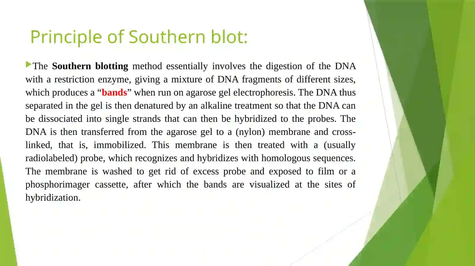 Genetic Engineering 4