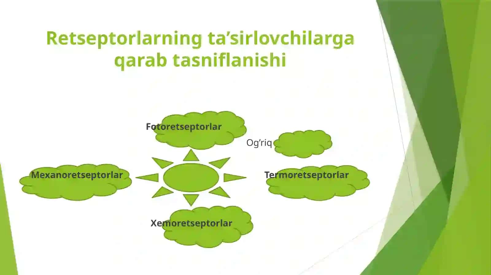 Ko’ruv analizatori fiziologiyasi 4