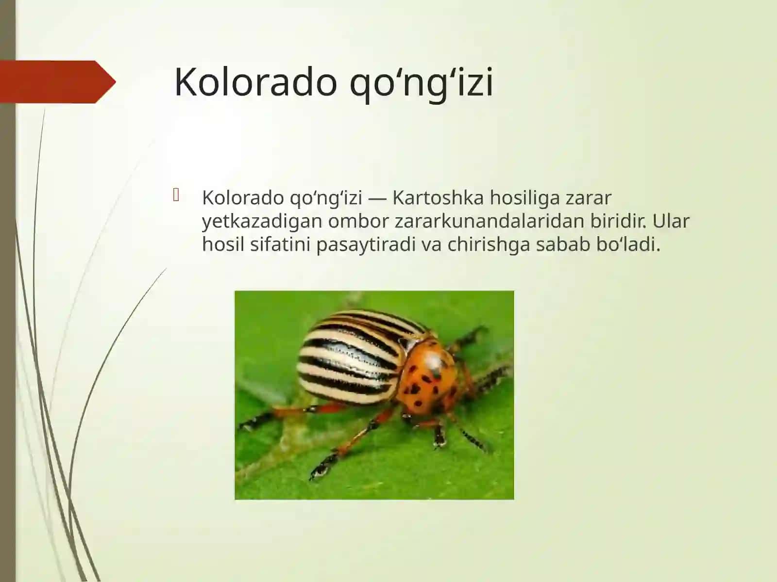 Zararkunandalar va ularning qarshiliklari 4