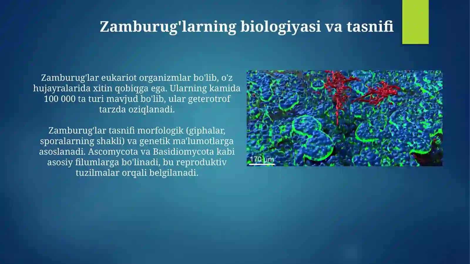 Zamburugʻlar keltirib chiqaradigan kasalliklar, qoʻzgʻatuvchilari, patogenezi, labaratoriya tashxisi 4