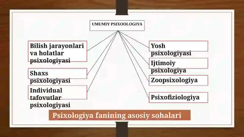 Hozirgi zamon psixologiyasining tuzilishi va tadqiqot metodlari 4