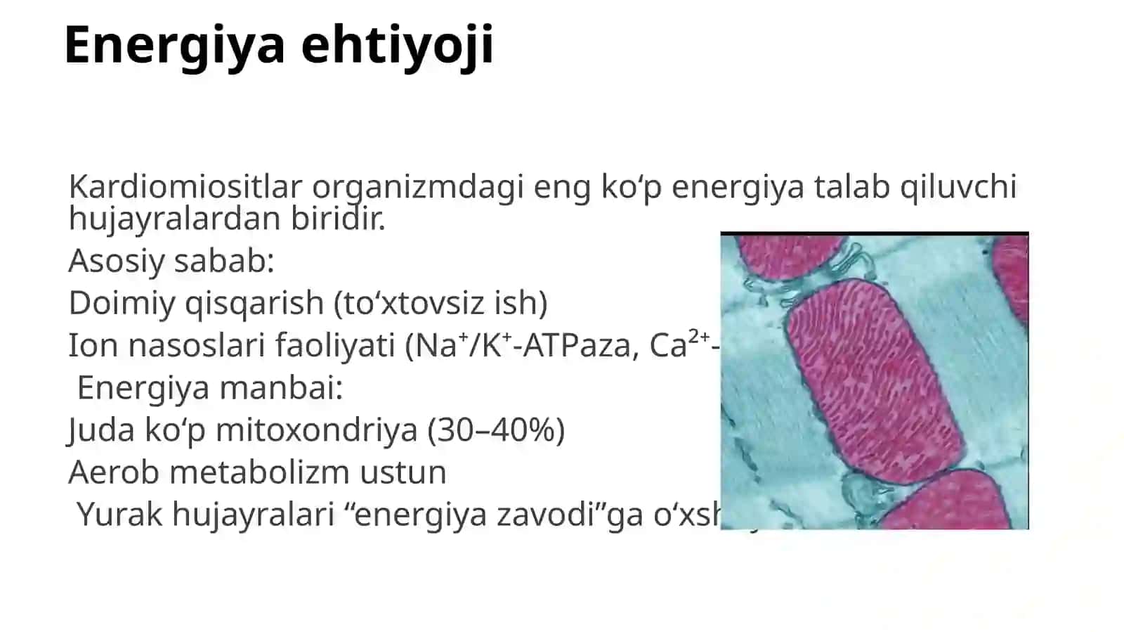 yurak qon tomir biokimyosi 4