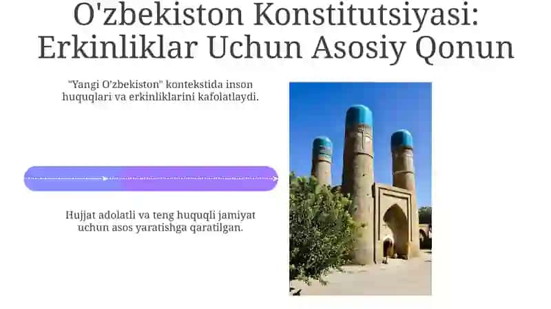 Inson haq huquqlari va erkinliklar 4