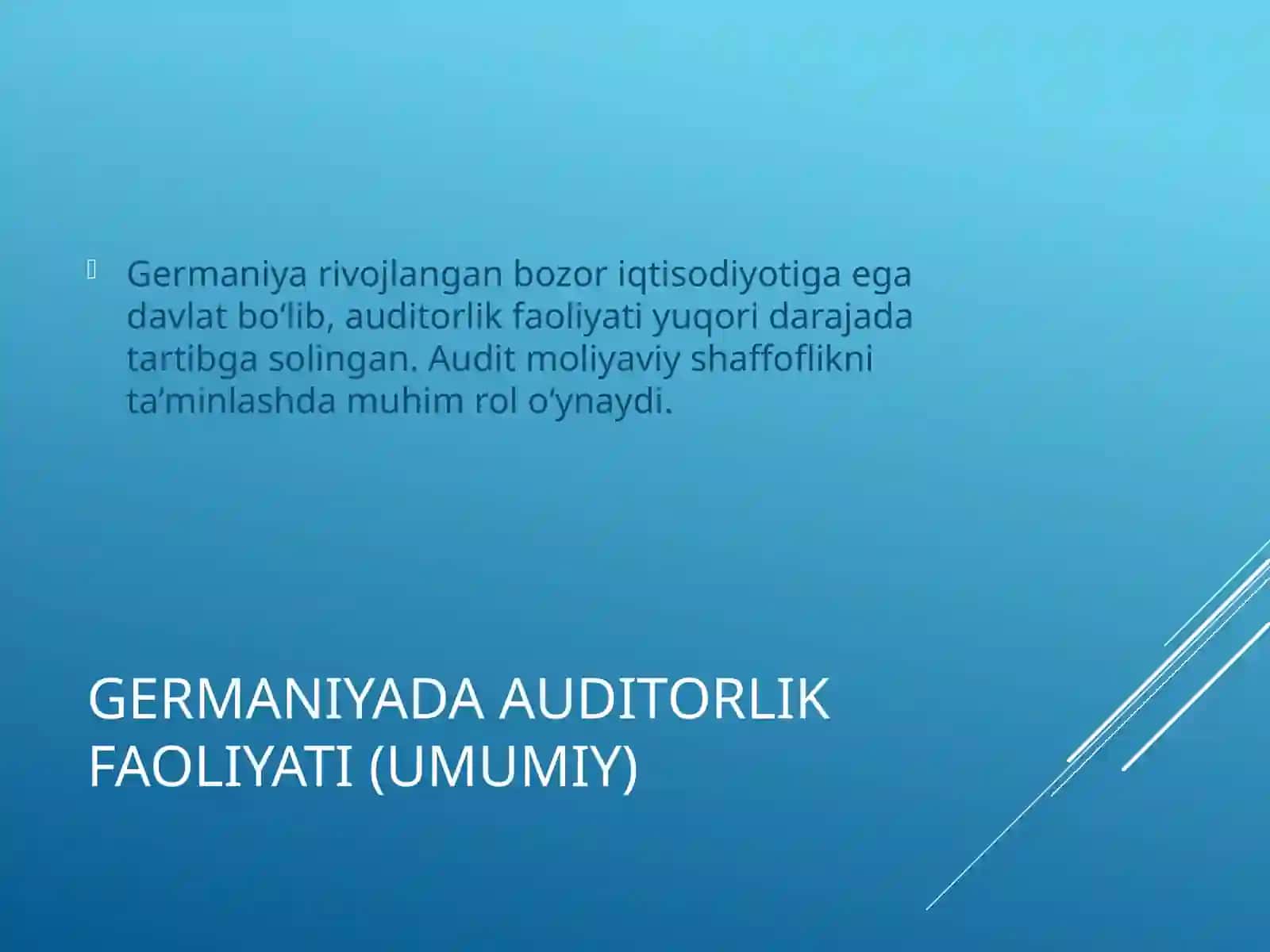 GermaniyavaRossiyadaauditorlikfaoliyati 4