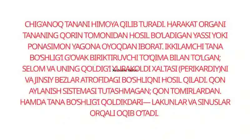 Toʻrayeva Mavjudaning Zoologiya Fanidan Tayyorlagan Taqdimoti 4
