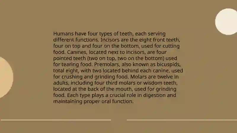 Teeth and its funktions 4