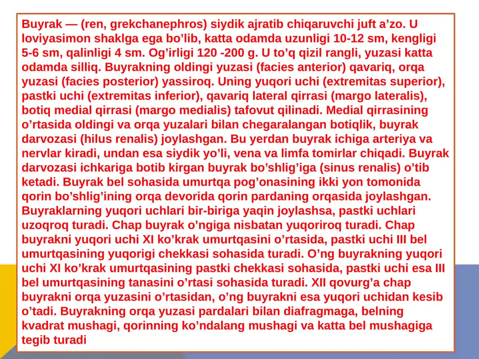 FITOTERAPIYA - BUYRAK VA BUYRAK TOSH KASALLIKLARI 4