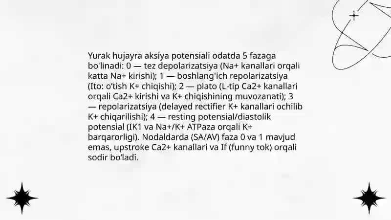 EKG tekshiruvining fiziologik asoslari 4