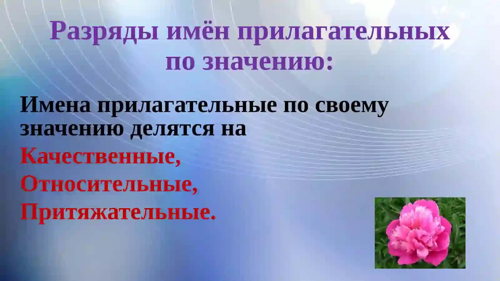 Имя прилагательное 4
