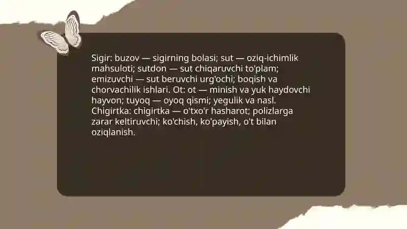 Chorvachilikka oid leksika 4