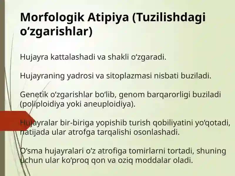 O`smahujayralarining ozigaxosligi 4