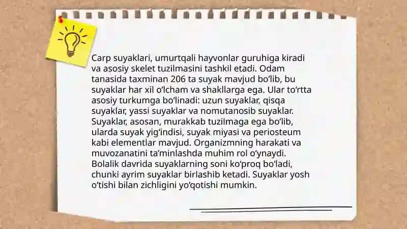 Qol suyaklari 4