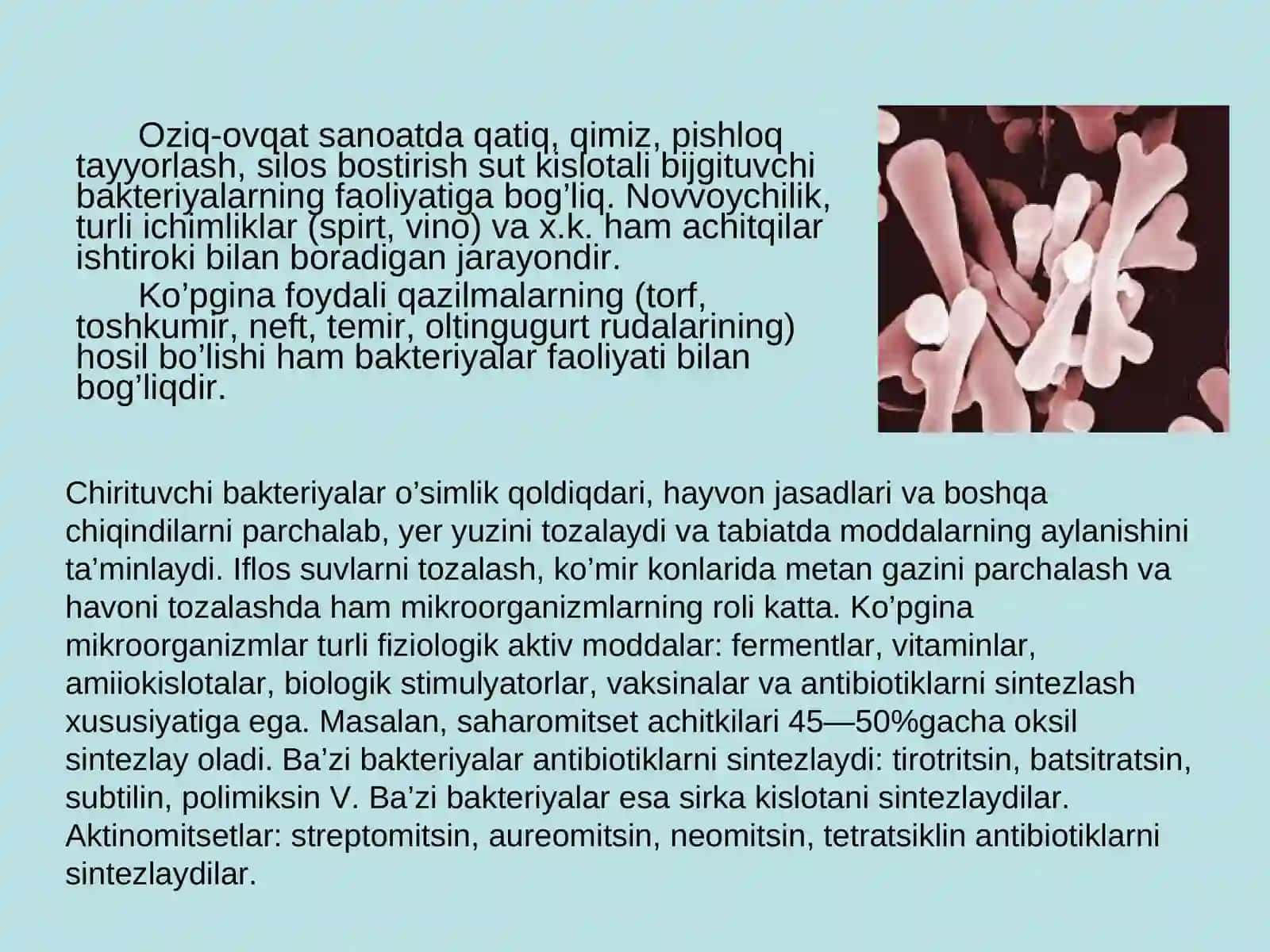 Mikrobiologiya fani, uning predmeti, vazifasi va ahamiyati 4