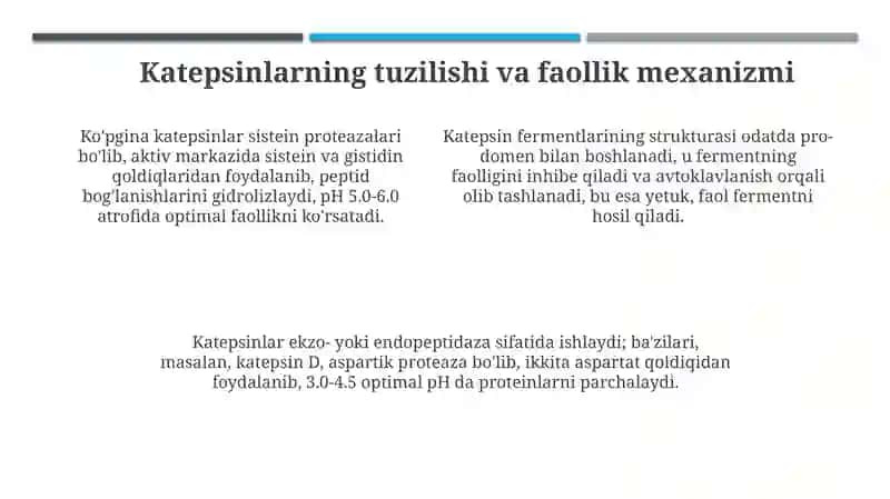 Katepsinlar 4