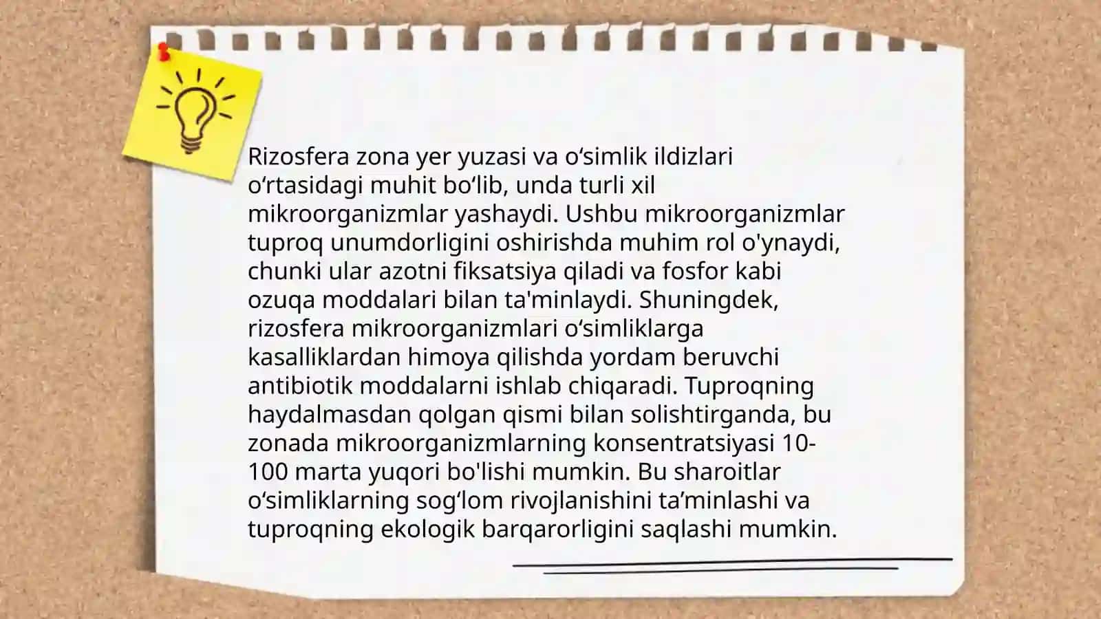 Rizosfera mikroorganizmlarni turlari va sestimatikasi 4