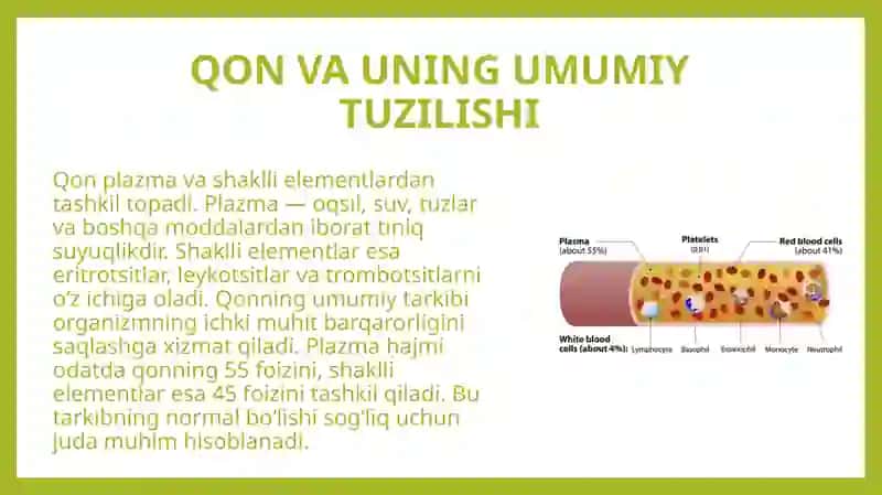 Qon va uning tarkibi.Qonning o'rganish usullari,gematokrit,eritrotsitlar,leykotsitlar,gemoglabinni aniqlash,qon guruhlari va rezus omil haqida tushuncha 4