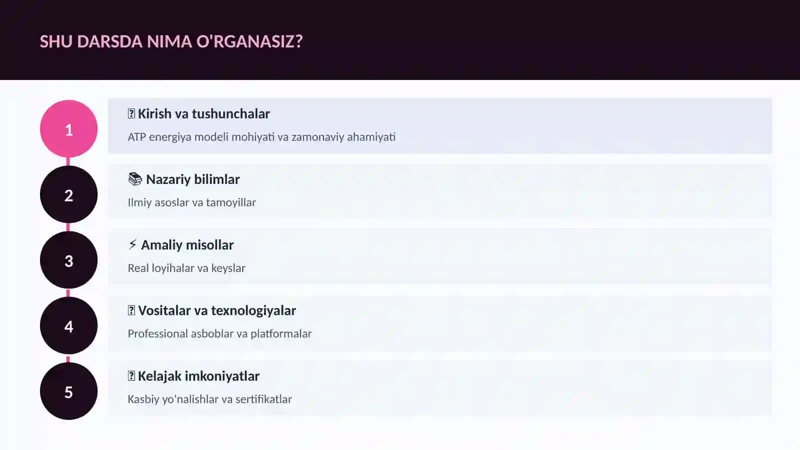 ATP energiya modeli 4