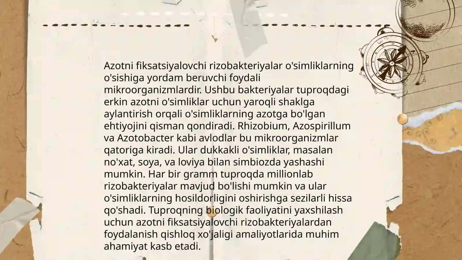 Rizobakteriyalar va ulardan dukkaklilar inokulyatsiyasi uchun foydalanish 4