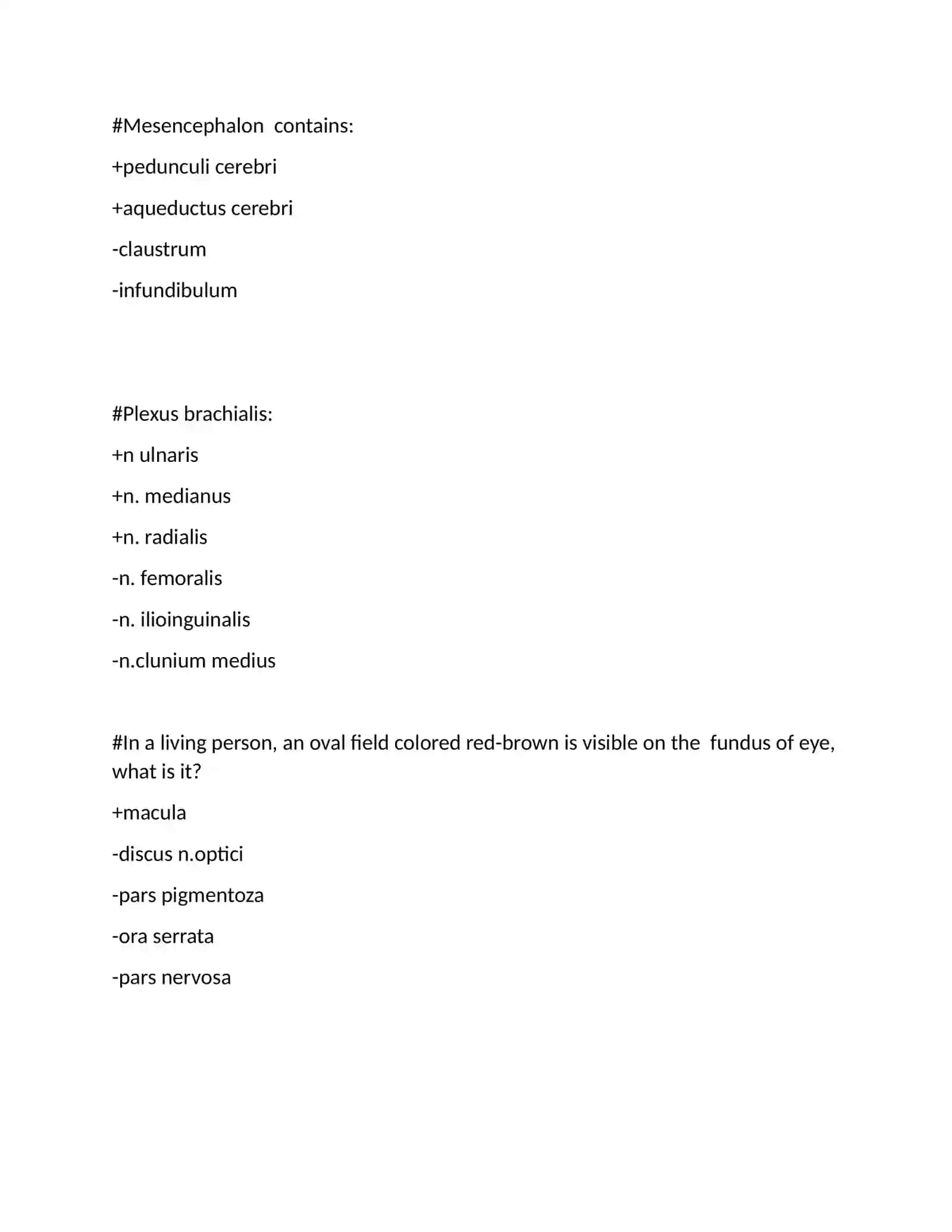 Medulla spinalis 4