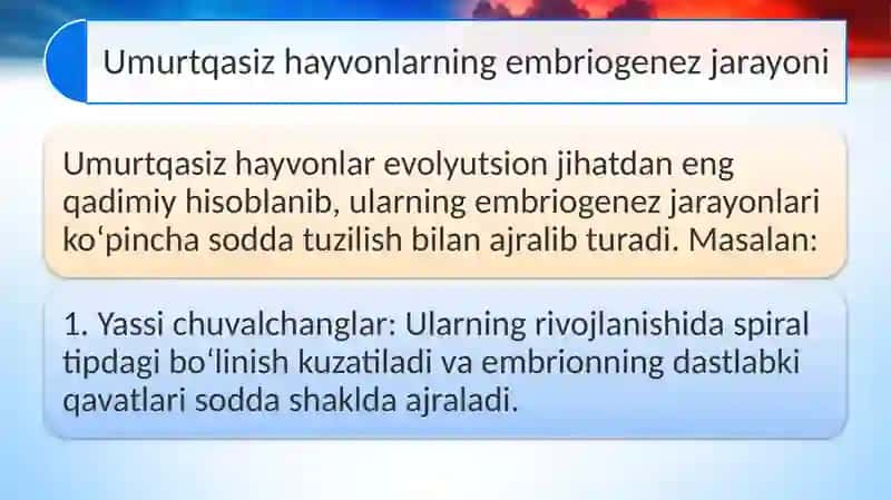 Umurtqali va umurtqasiz hayvonlar rivojlanishi misolida embriogenez xilma-xilligining filogenetik asoslari 4