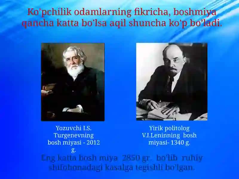 Boshmiya izlanishi 4
