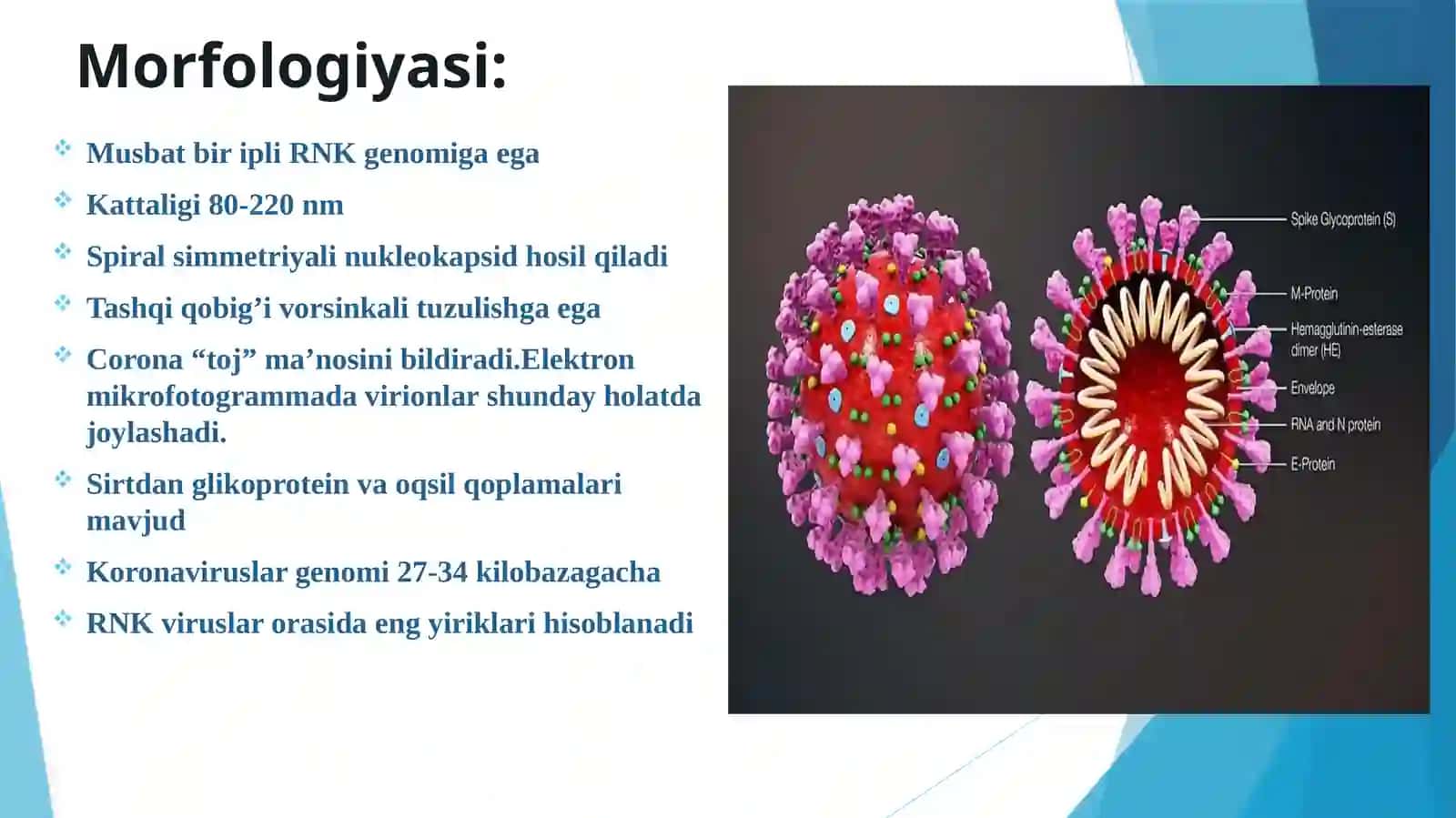 Kasallik 4