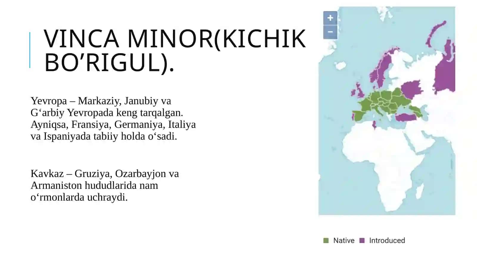 Sho'rlangan yerlarda dorivor o'simliklar yetishtirish texnalogiyasi 4