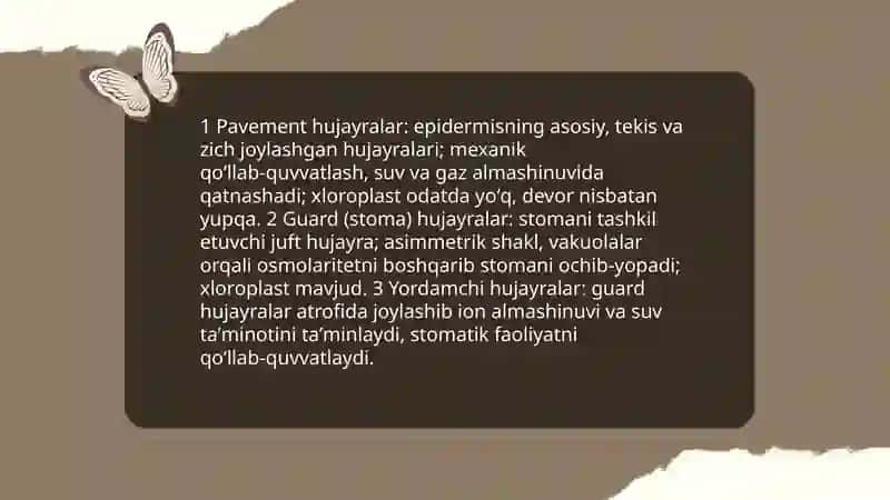 O'simliklarni Qoplovchi to'qimsi 4
