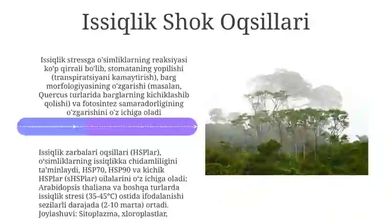 Daraxtvaoʻsimliklarniharoratgamunosabati 4