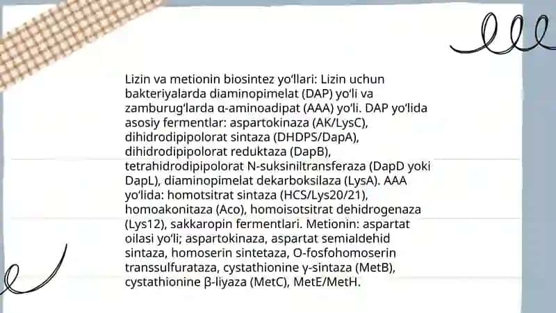 Lizin va metionin sintezqiluvchi mikroorganizmlarni urganish HaydarovaSitora 4