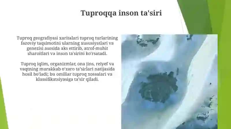 Tuproqning genezisi, klassifikatsiyasi va geografiyasi 4