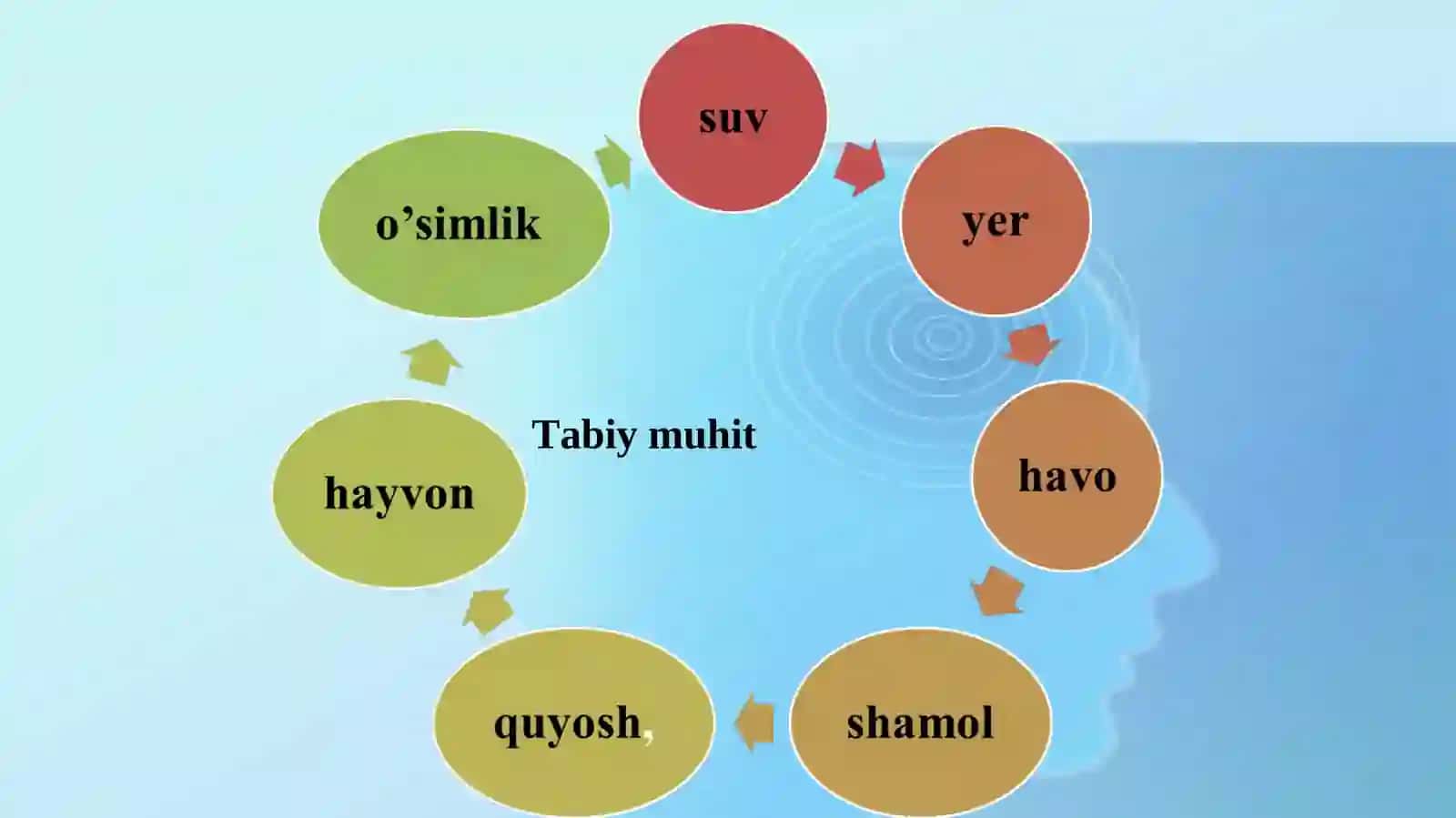 Ekologik muhit 4