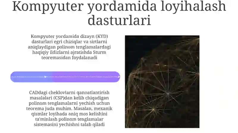 Polinomlarning haqiqiy ildizlarini topish 4