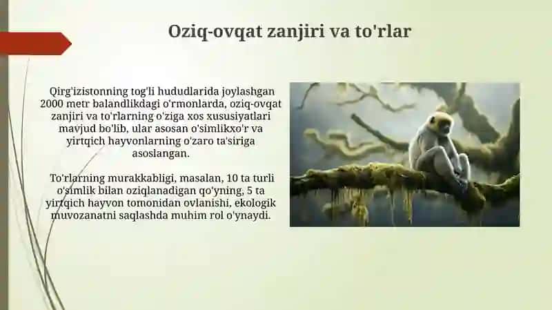 Oziq-ovqat zanjirlarining buzilishi va oqibatlari 4