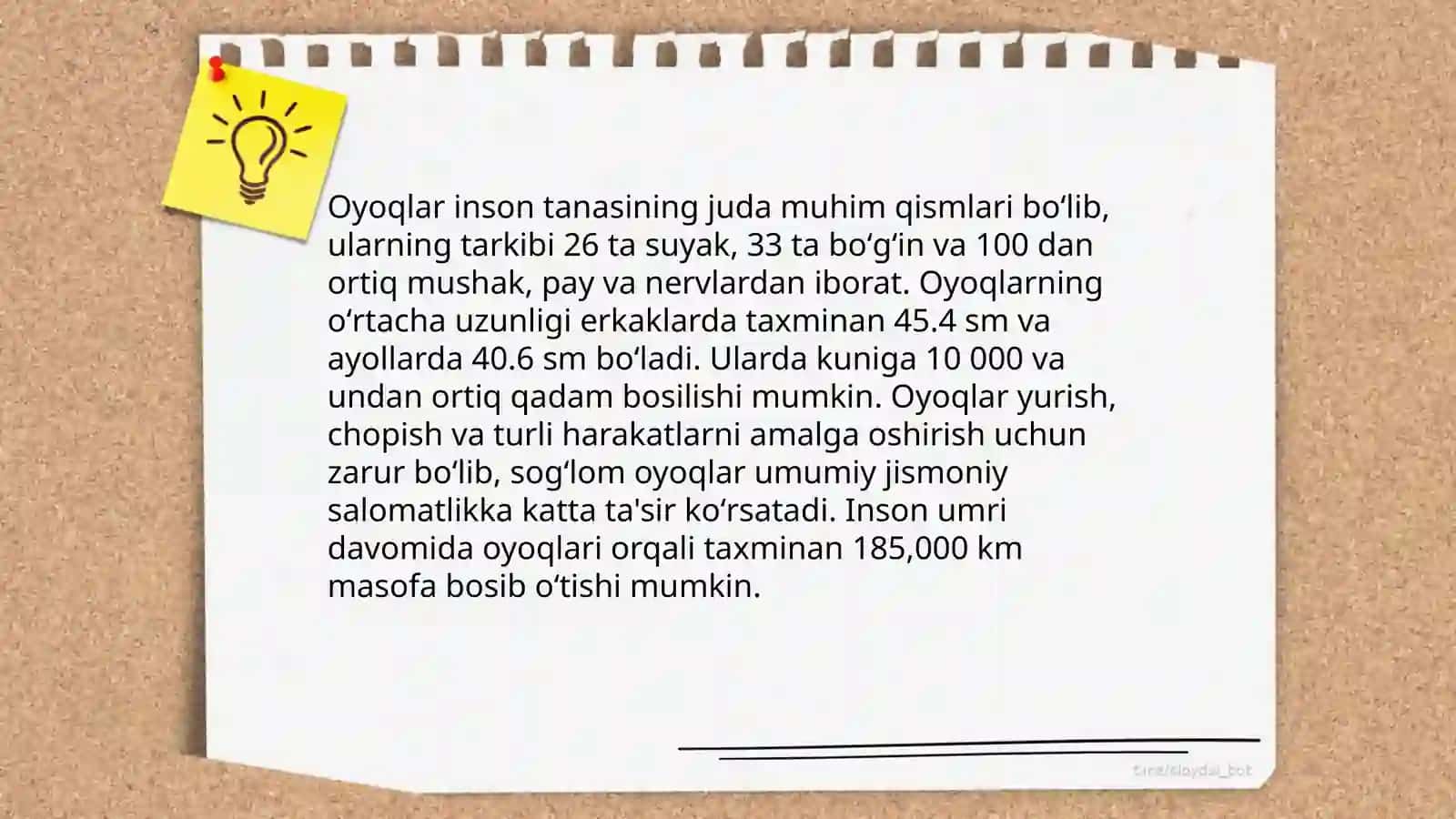 Yurak 4