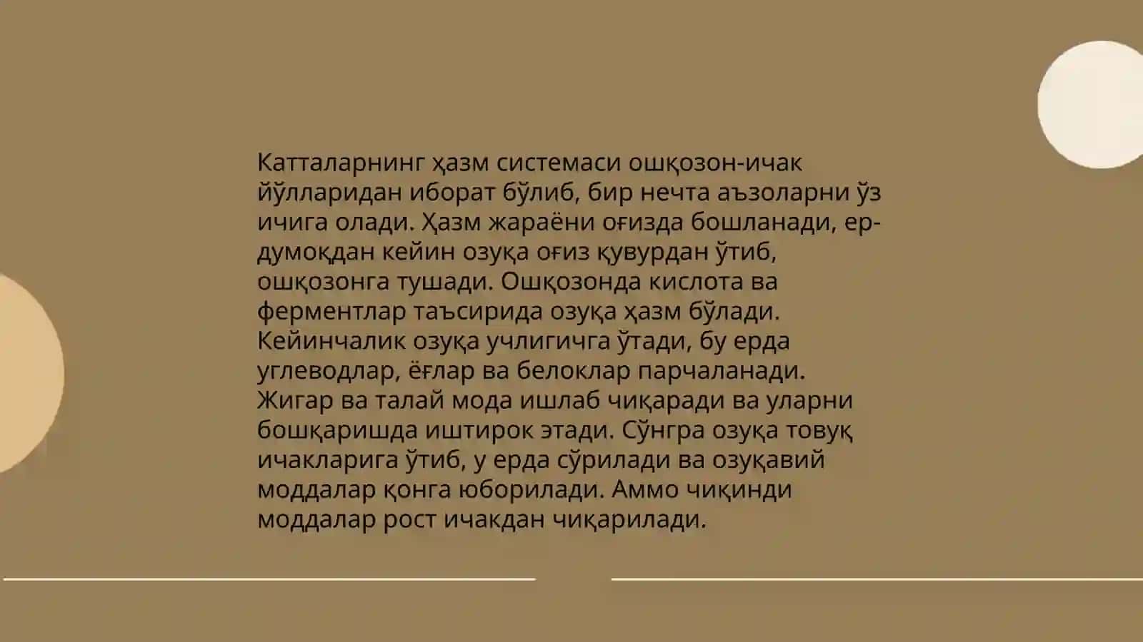 Болалар ва катталар хазм системаси фарқи 4