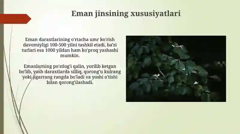 Emanlar. Xususiyatlari va turatlari 4