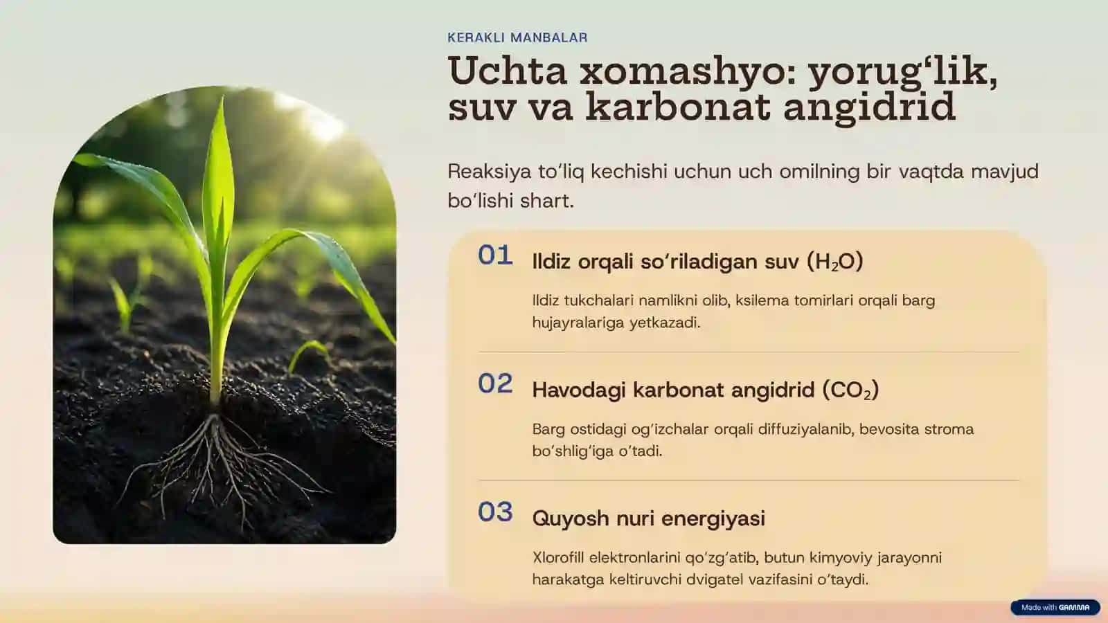 BIOLOGIYA DARSLARI · 10-SINF 4