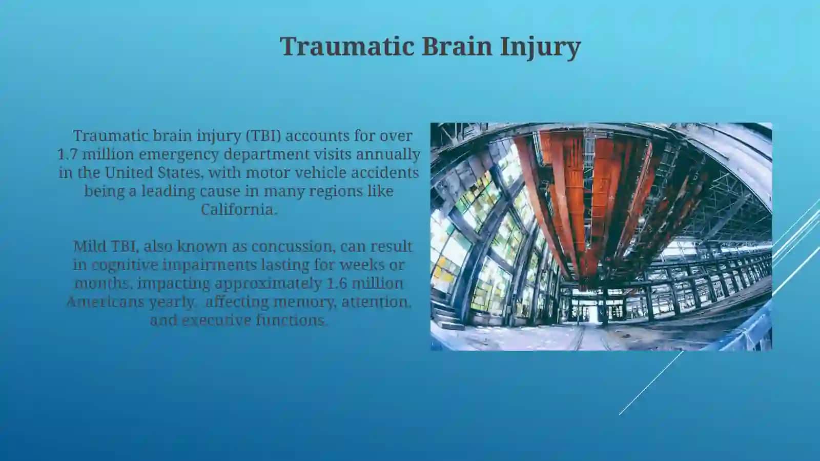 Brain structure and diseases 4