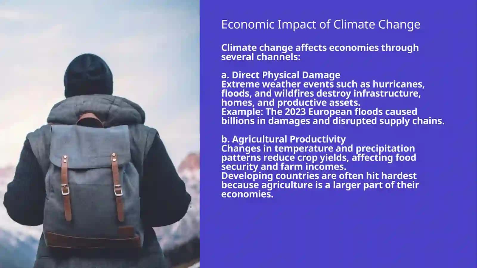 Economic Impact of Climate Change 4