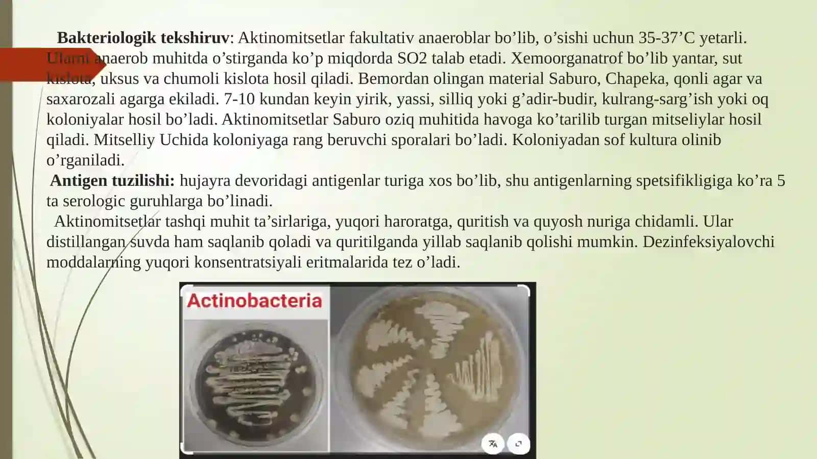 Aktinomikoz qo’zg’atuvchilari tavsifi va ularning keltirib chiqargan kasalliklari tashxisi. Atipik mikrobakteriyalar va ularning amaliyotdagi ahamiyati, ular keltirib chiqargan kasalliklari tashxisi 4