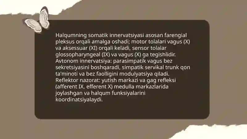 Halqum, qiloʻngach, oshqozon tuzilishi va fizialogiyasi 4