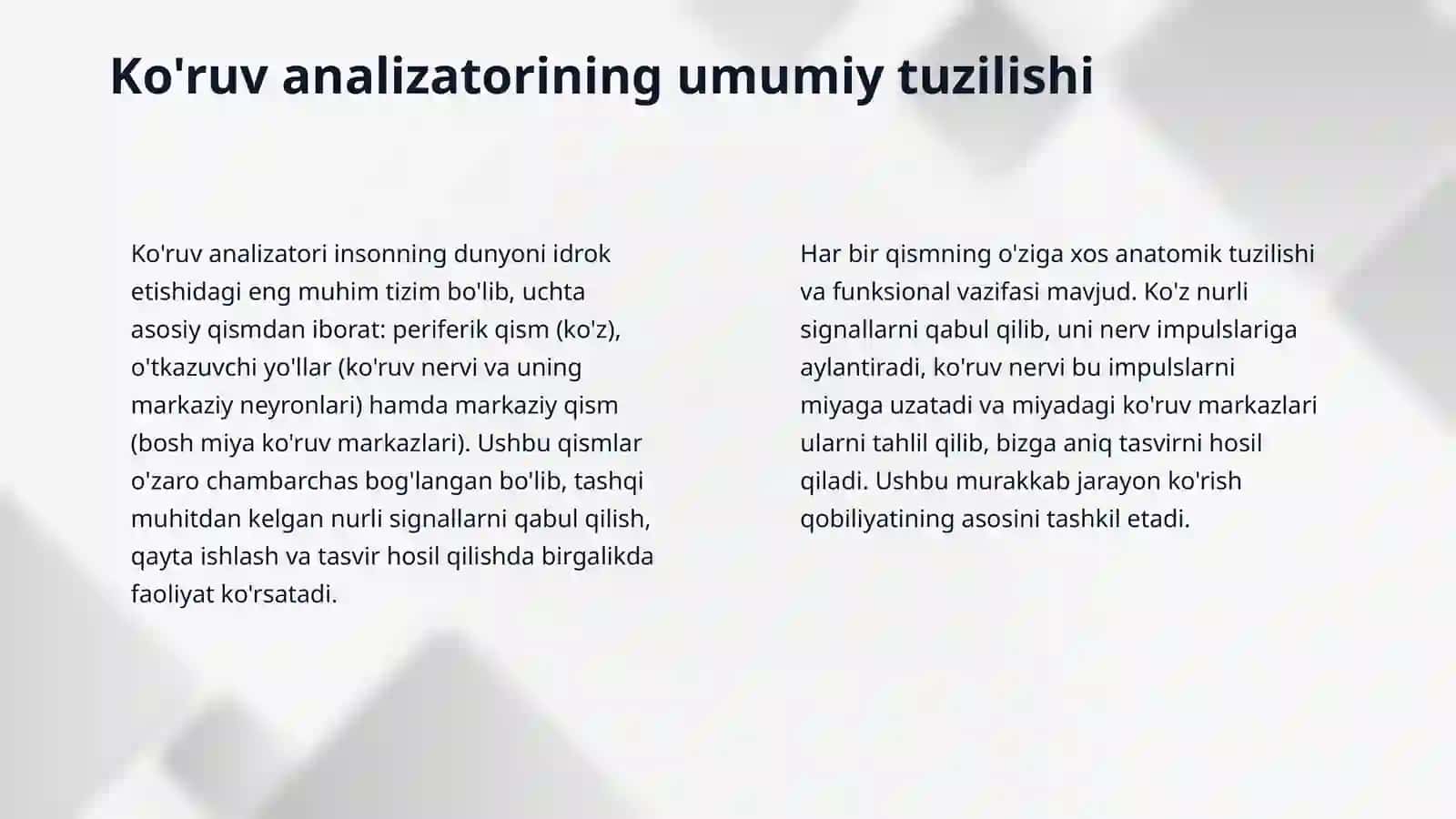 Fibroz parda anatomiyasi. Tomirli parda anatomiyasi 4