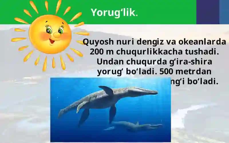 Okeansuviningxususiyatlari 4