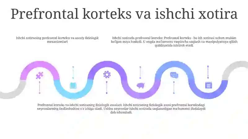 Xotiraning Fiziologik Asosi 4
