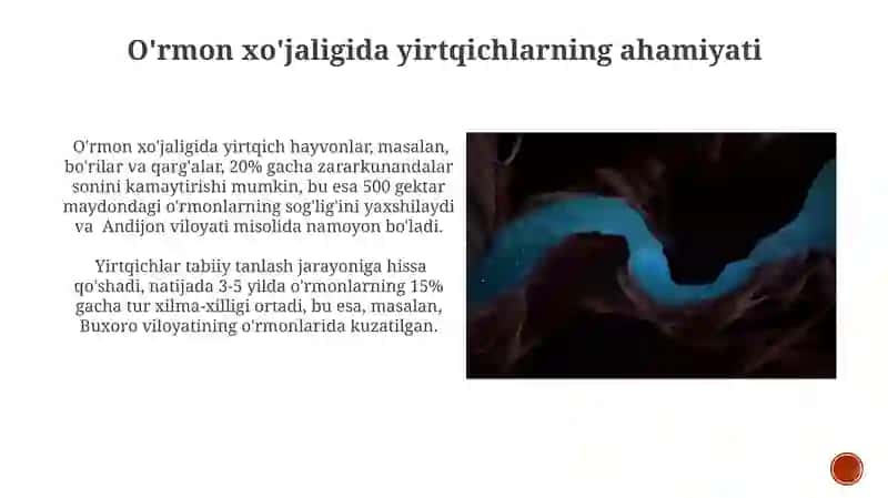 Yirtqichlar va ularning xavfiyati 4