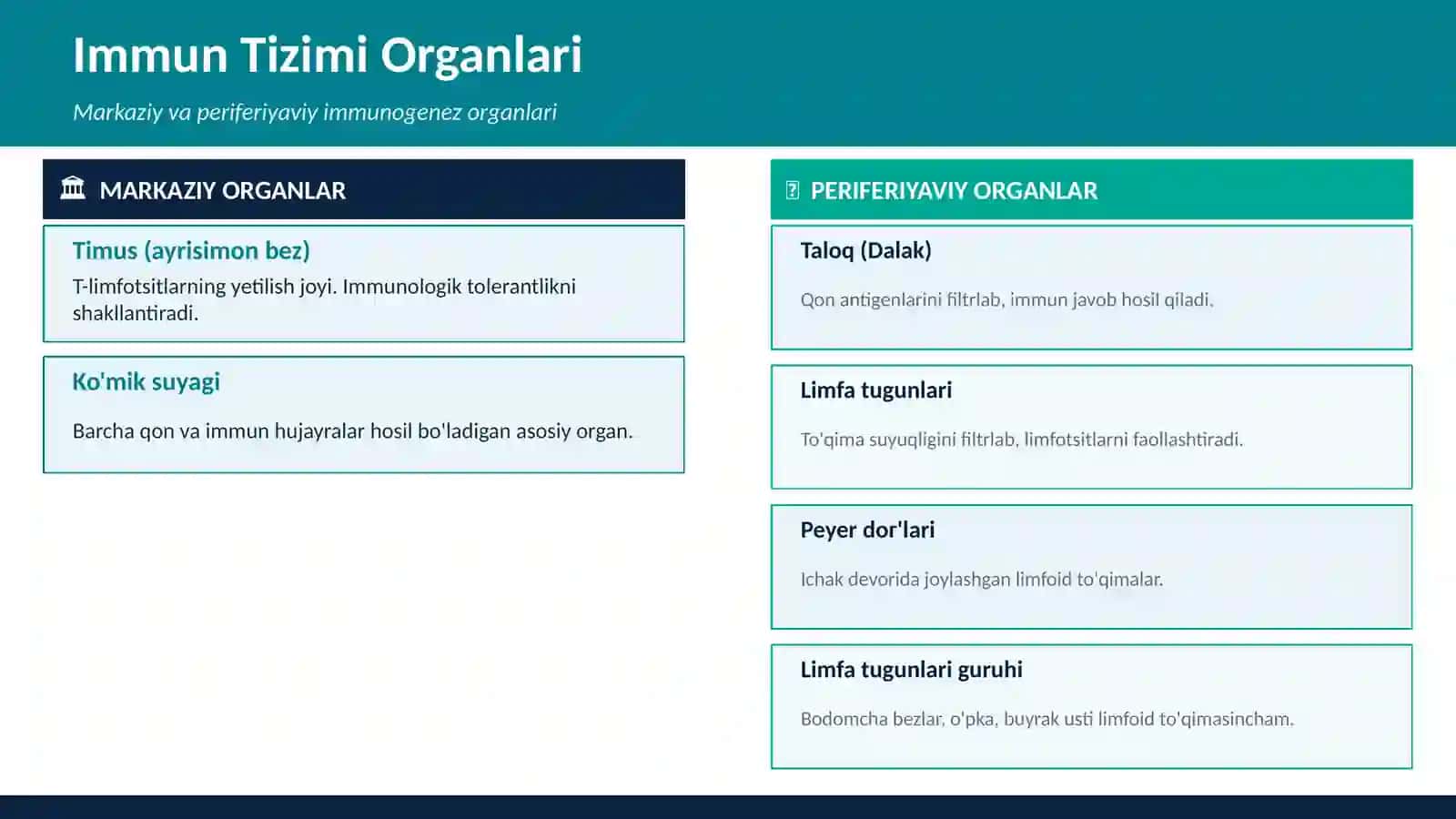 Immunitet va immun tizimi 4