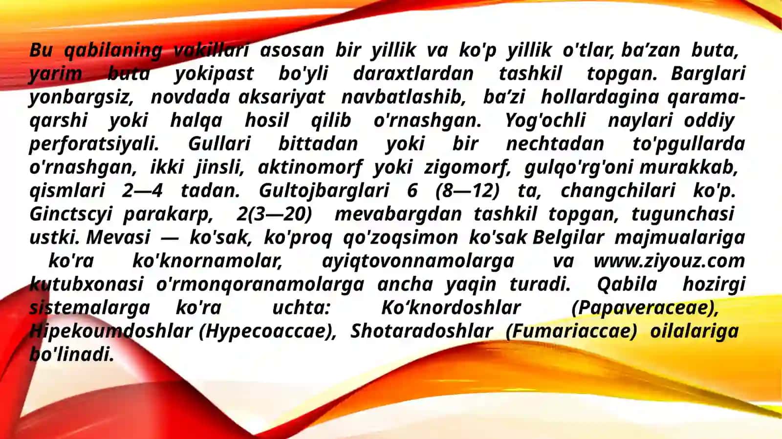 Ko‘knornamolar qabilasi 4